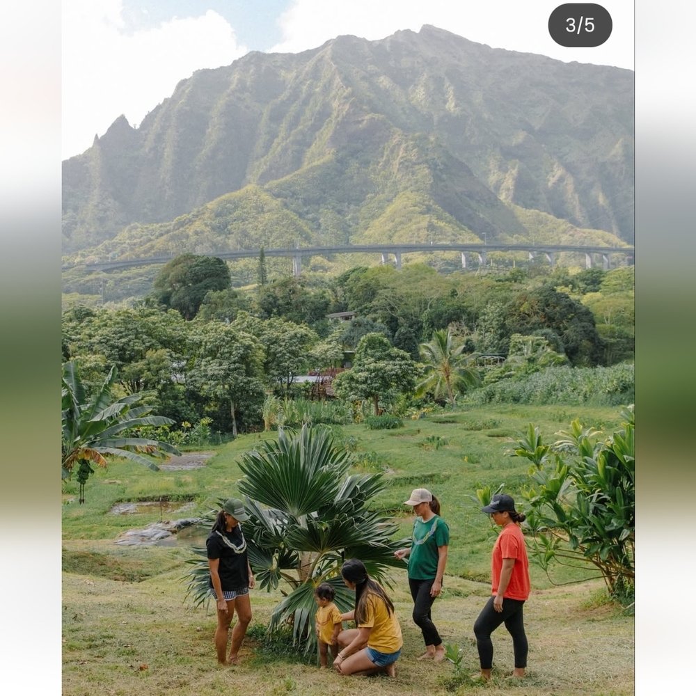 Mahina Made Lei Pili Tee Mauka Forest Pine Green S T-Shirt MahinaMade Koko Small - Picture 4 of 15